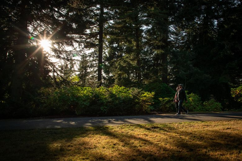 People enjoy the cool fall weather at the Washington Park Arboretum last October. (Kylie Cooper / The Seattle Times)
