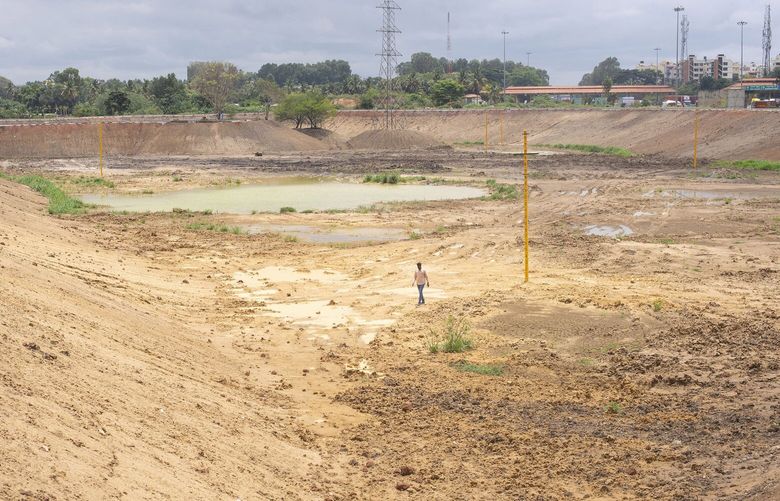 Anand Malligavad, a mechanical engineer known as â€œLake Man,â€ surveys one of his reclamation projects, Doddathoguru Lake, in Bengaluru, India, July 27, 2023. Malligavad, who turned to centuries-old knowledge to reclaim dozens of lakes in the high-tech capital of Bengaluru, is now in demand across India, one of the worldâ€™s most water-stressed nations. (Priyadarshini Ravichandran/The New York Times) XNYT0170