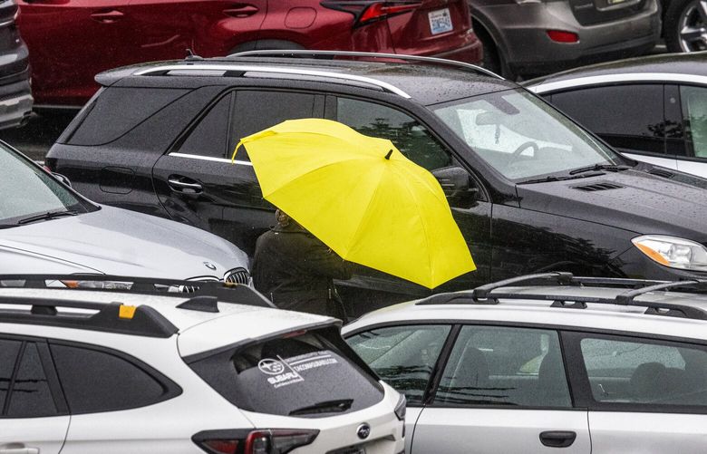 As the rains come back, Seattle’s grey weather has its own color scheme, like University Village’s trademark yellow umbrellas, which are broken out again, Sunday, Sept. 24, 2023 in Seattle.