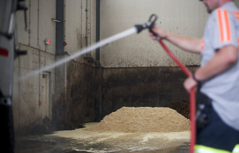 FILE – A worker sprays a truck at a Perdue plant in Seaford, Del., Sept. 13, 2018. Tyson Foods and Perdue Farms, which together produce a third of the poultry sold in the United States, are under federal investigation into whether they relied on migrant children to clean slaughterhouses, some of the most dangerous work in the country. (Mark Makela/The New York Times) XNYT00103
