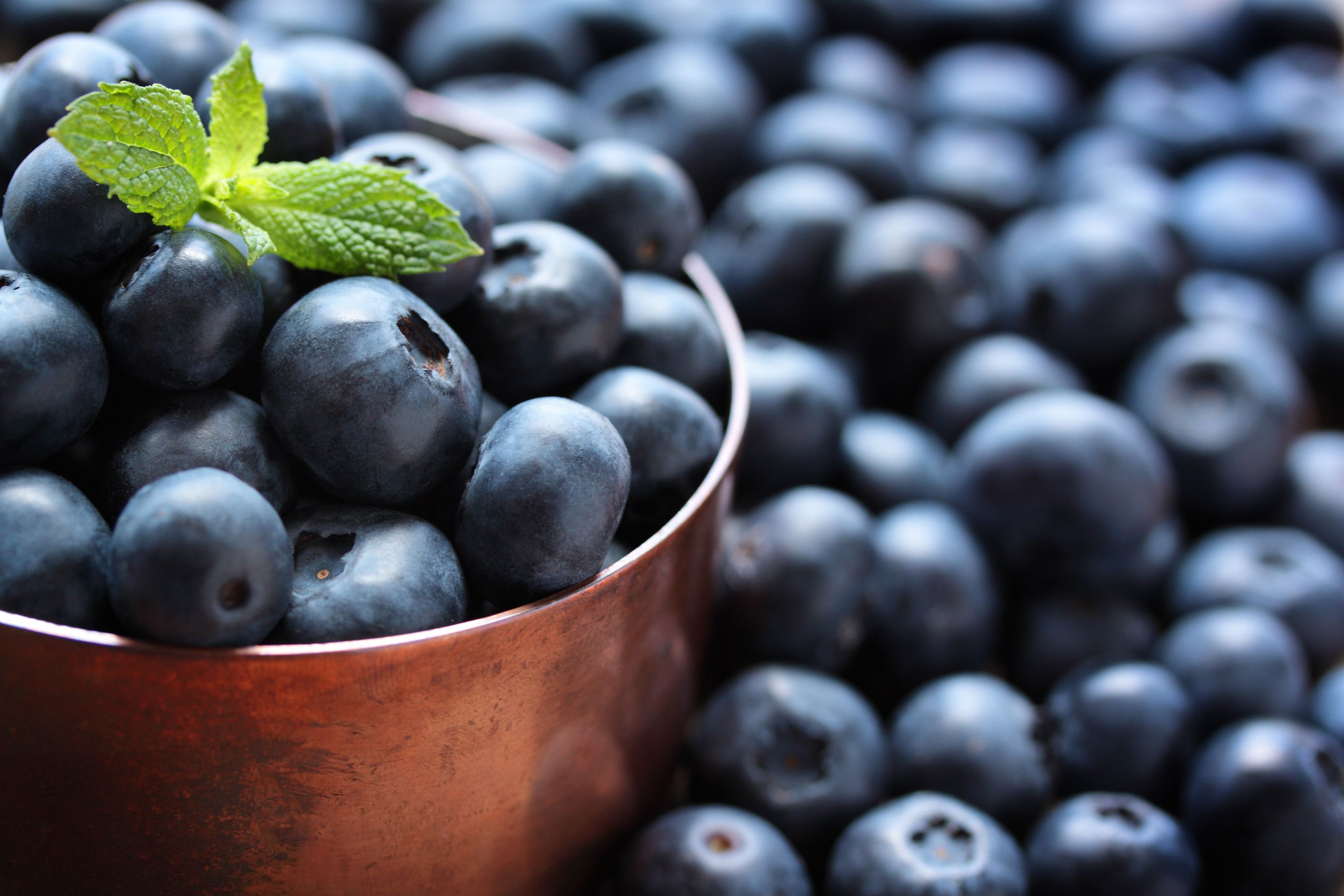 Blueberries, blue, fruit, berries, food, garden, dark, pattern, HD wallpaper  | Peakpx