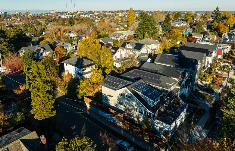 An aerial shot of a Seattle neighborhood on a sunny fall day. Some houses have solar panels on them.