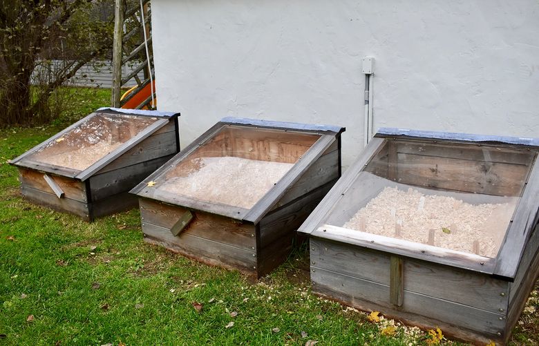 Page Dickey’s cold frames are three feet wide and three feet high in the back. (Page Dickey for The New York Times)