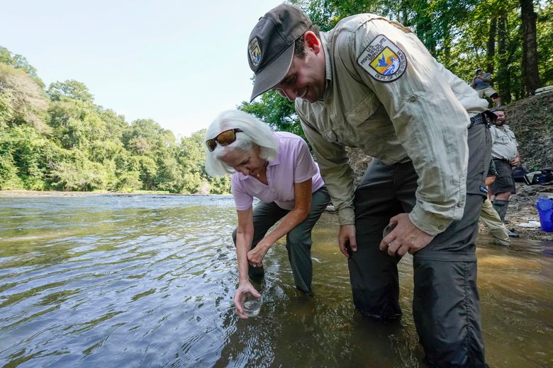 In Mississippi, a tiny fish is reintroduced to the river where it  disappeared 50 years ago