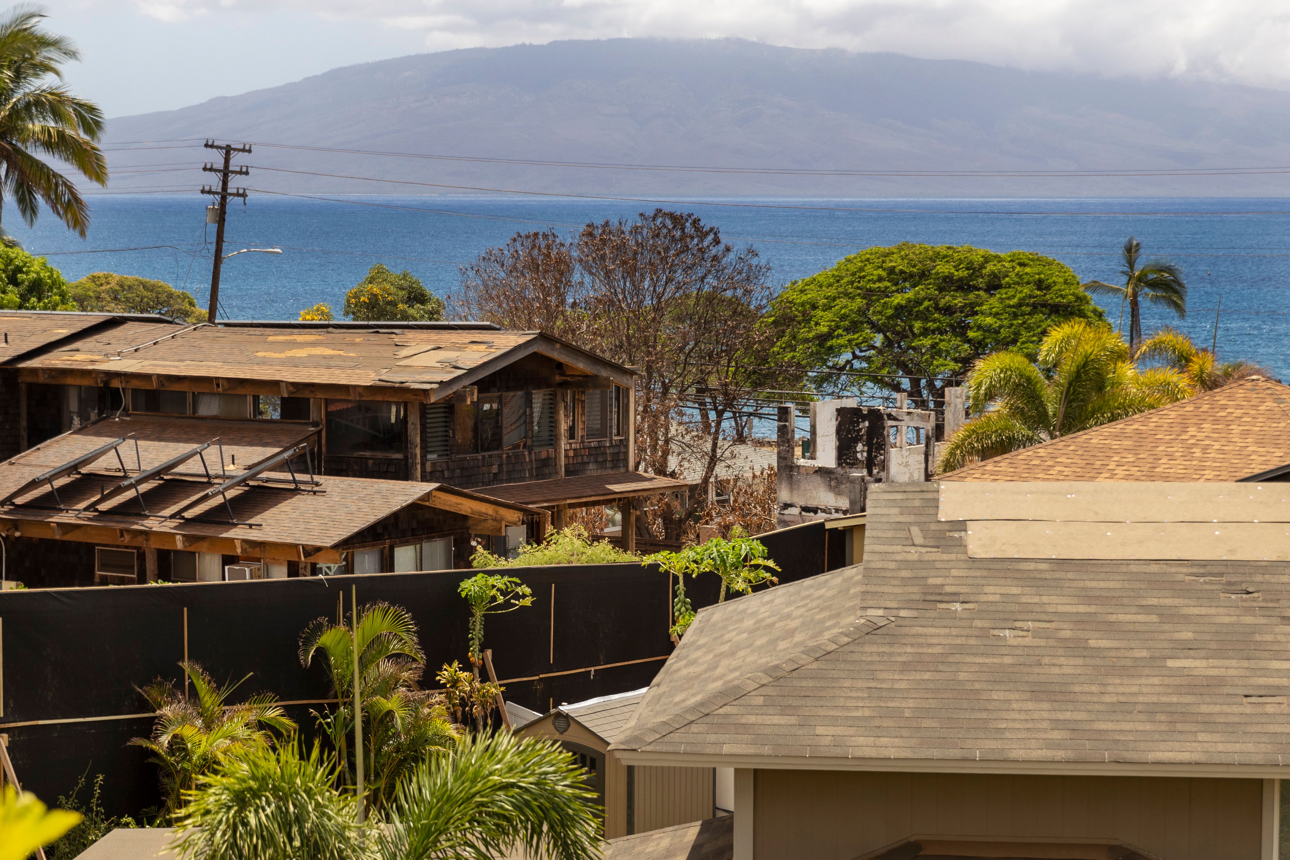 Native Hawaiian neighborhood survived Maui fire. Lahaina locals praise its  cultural significance | The Seattle Times