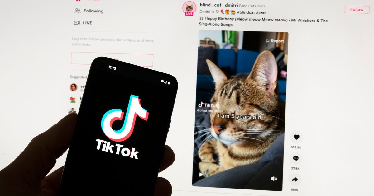 TikTok’s Irish data center up and running as European privacy project gets under way TikTok’s Irish data center up and running as European privacy project gets under way