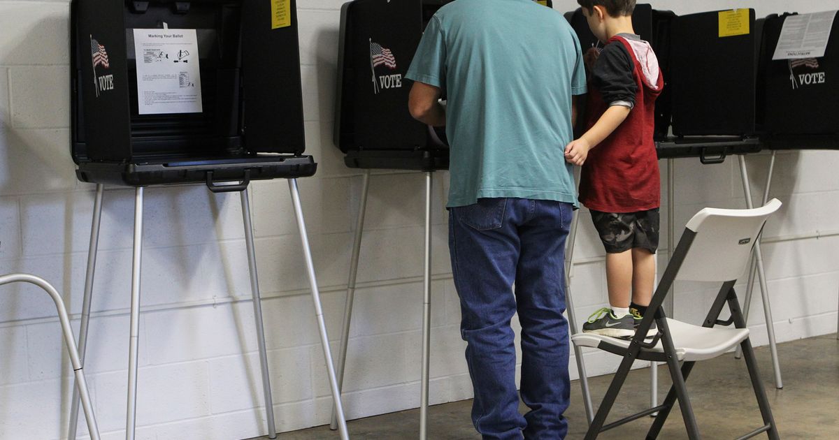 California lawmakers vote to limit when local election officials can count ballots by hand Photo