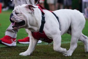 Beck throws and runs for TDs to launch new era as No. 1 Georgia rolls past  UT-Martin 48-7