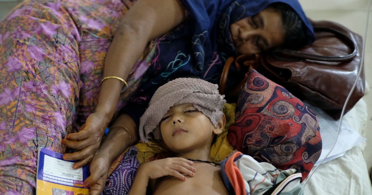 Bangladesh is struggling to cope with a record dengue outbreak in which ...