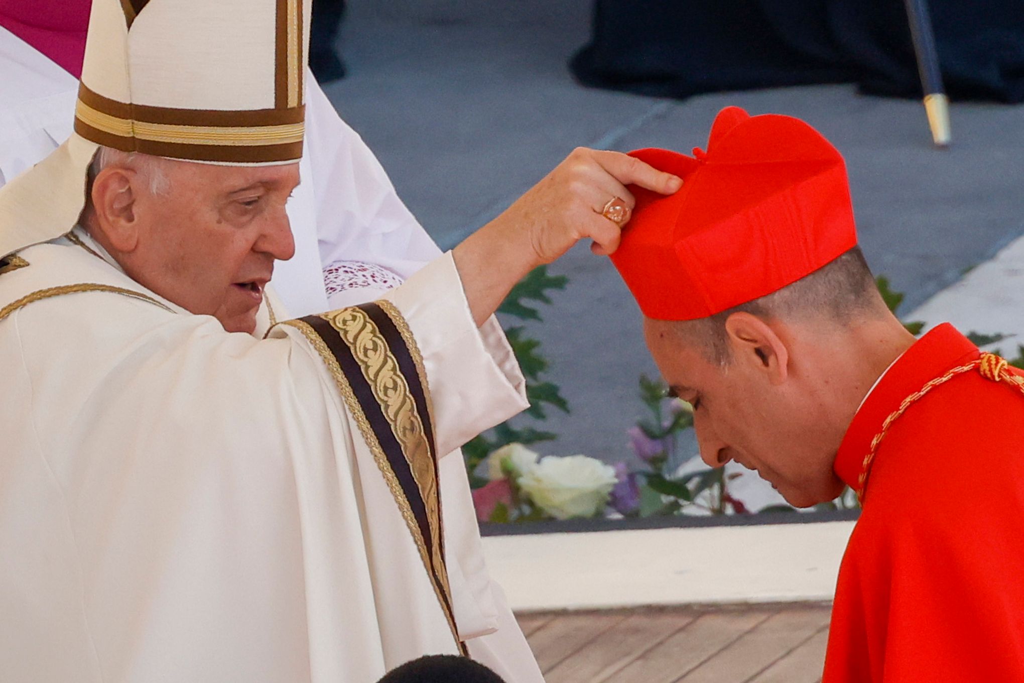 Faithful welcome their new cardinals