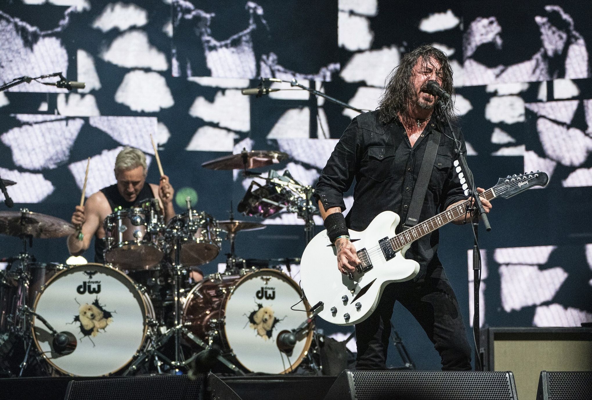 Galeria de Fotos Foo Fighters Brasil