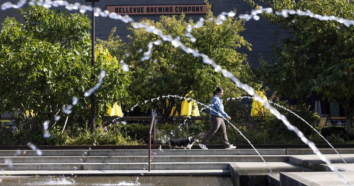 Bellevue’s Spring District grapples with Meta’s shifting office plans Bellevue’s Spring District grapples with Meta’s shifting office plans