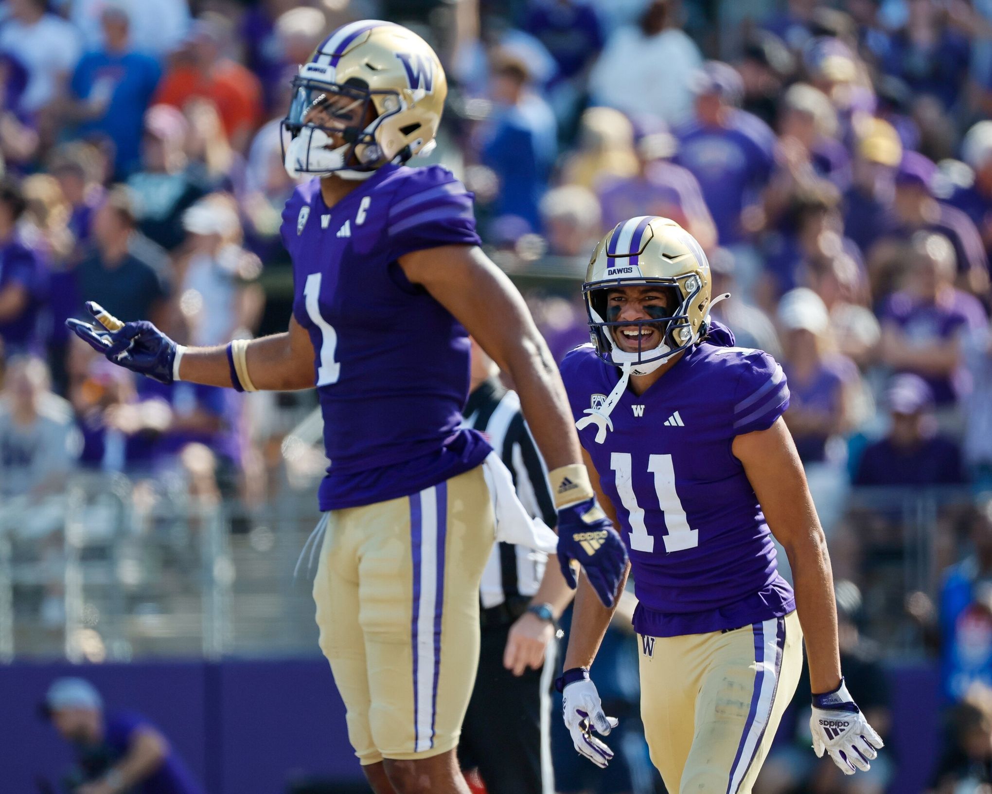 A Relationship Born on the Gridiron: Seahawks and Huskies - UW Dawg Pound