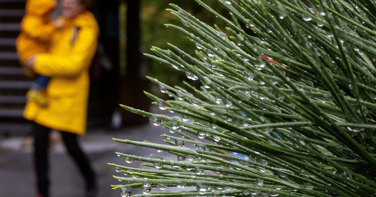 Recent rains not enough to fix water shortage, Seattle Public Utilities says