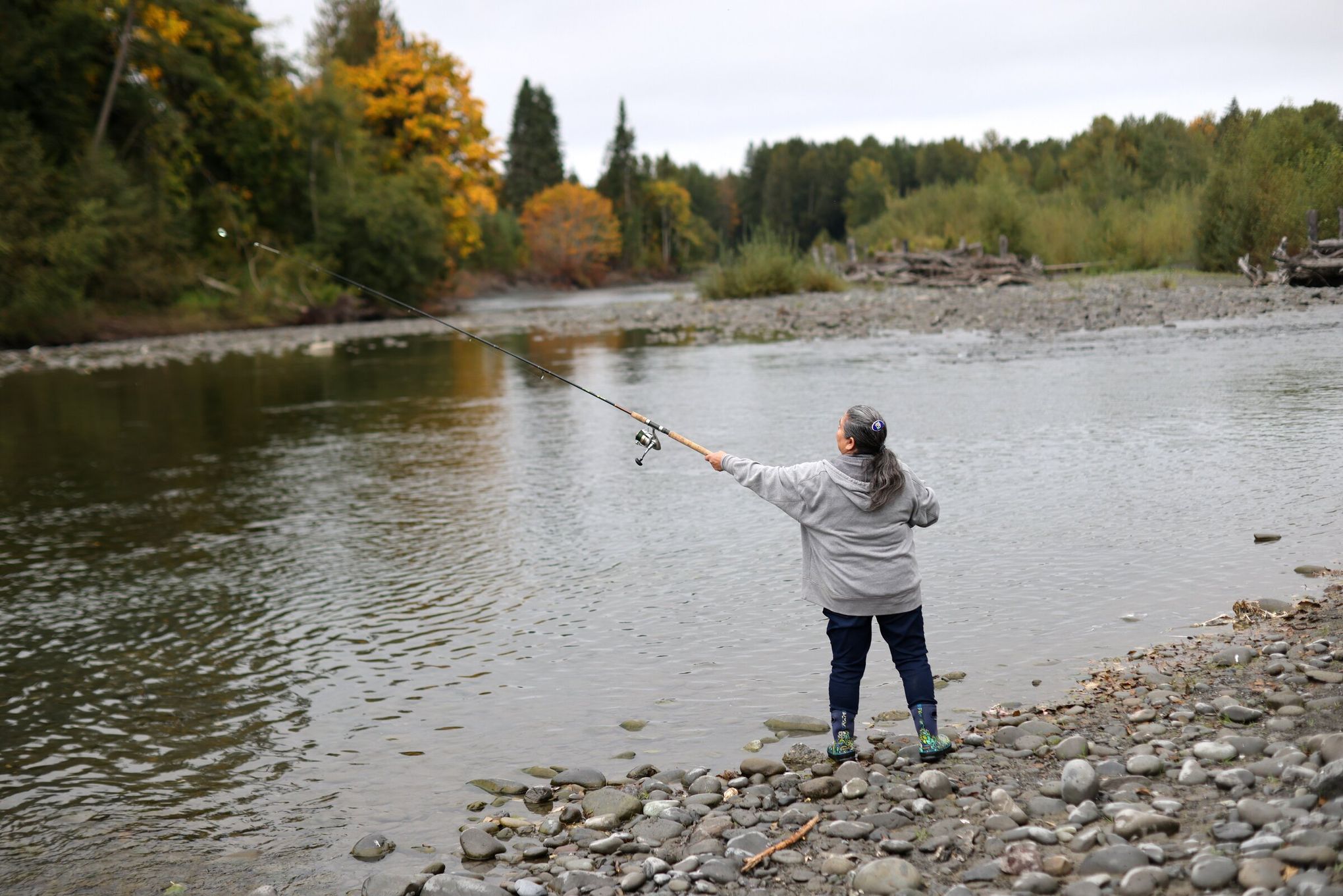 Tribe catches coho salmon on free-flowing Elwha River, a first since dam  removals