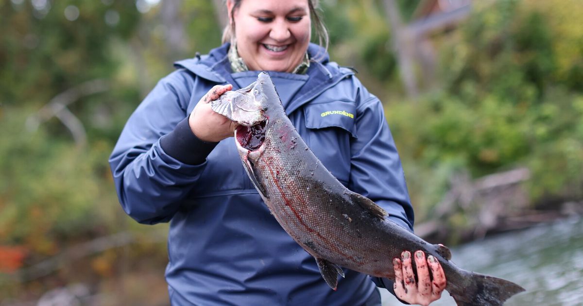 Tribe catches coho salmon on free-flowing Elwha River, a first since dam removals