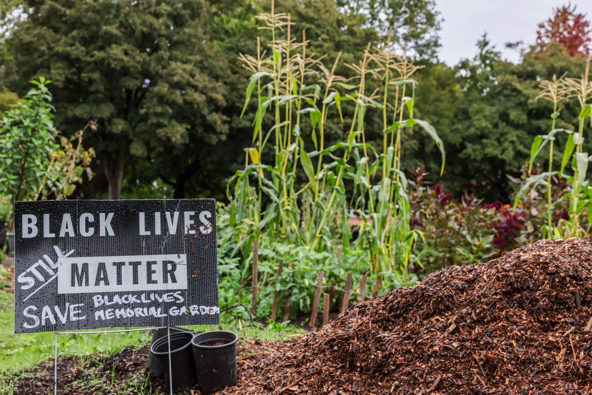 Black Lives Matter. Black Communities Matter. – THE DIRT