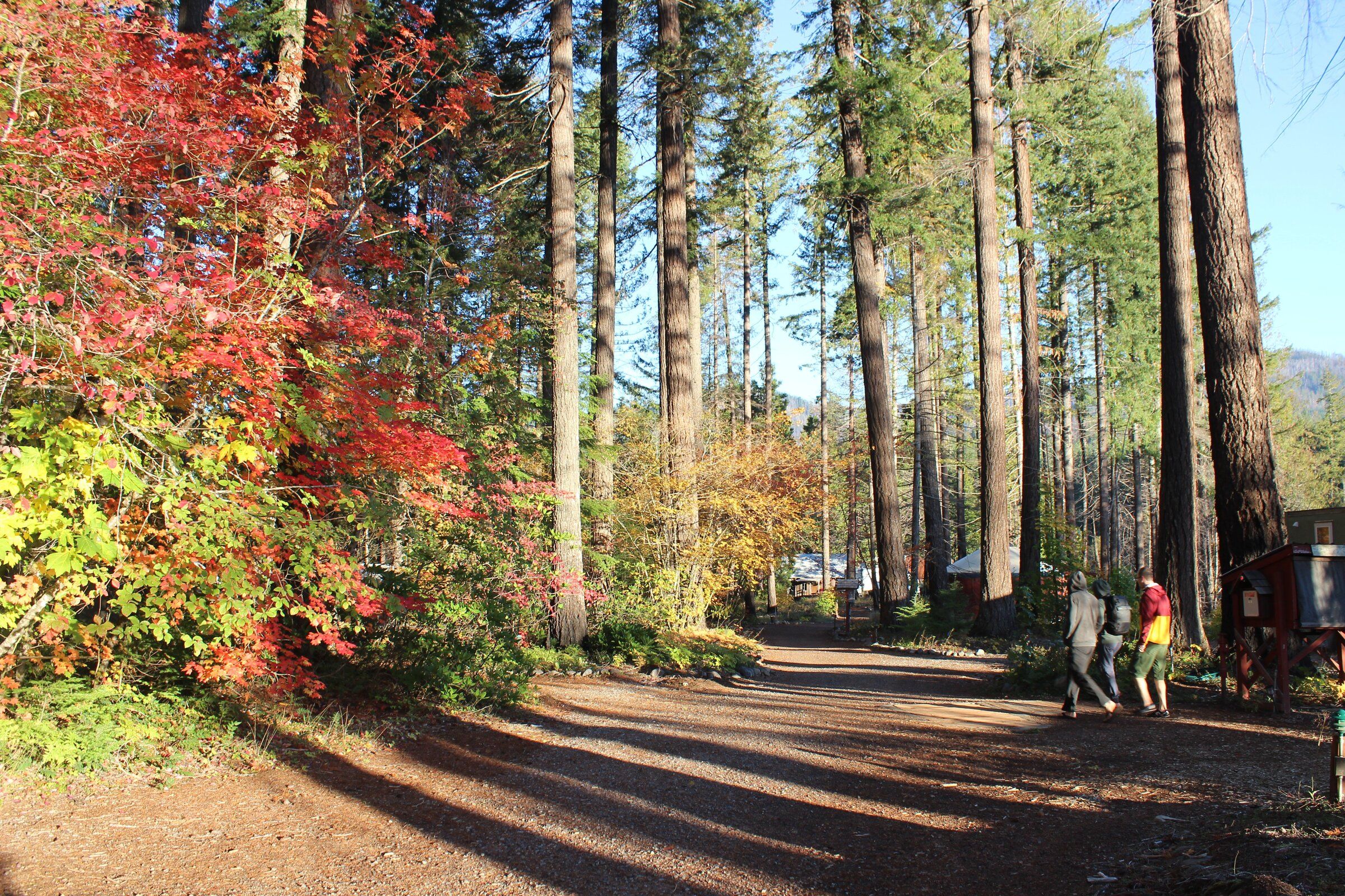 This off-grid OR hot springs spot is the perfect autumn getaway