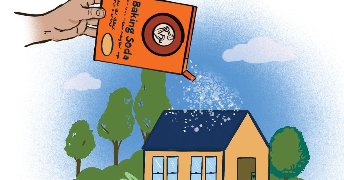 Rant & Rave Reader keeps roof moss at bay with baking soda The