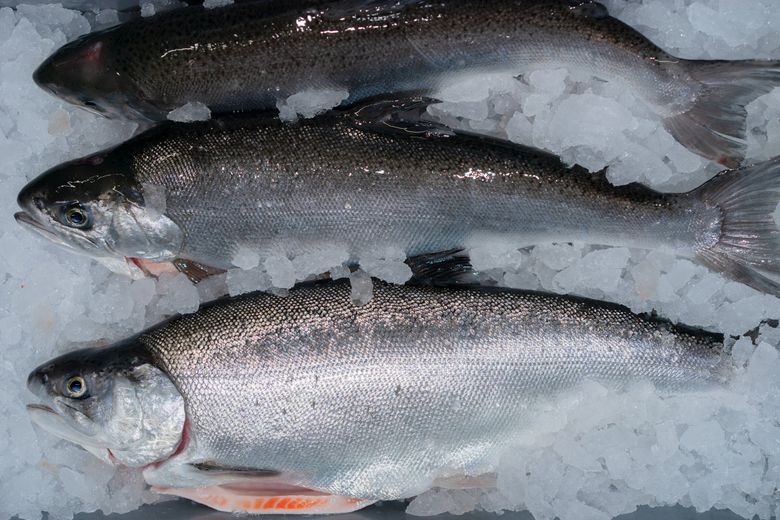 King salmon reign shrinks on changing Great Lakes