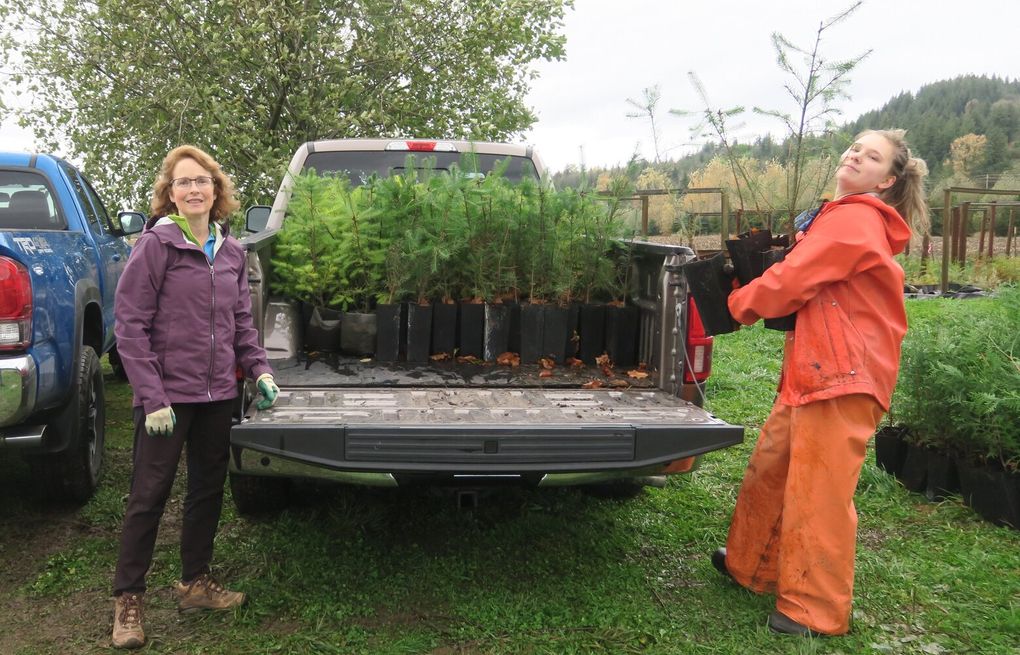 Grow The Seattle Times