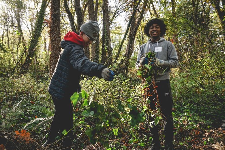 The Survivor Tree — Urban Forestry South