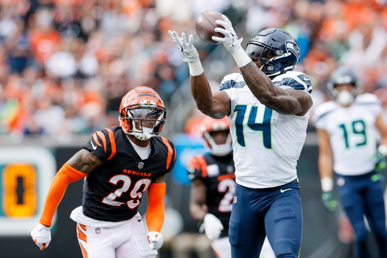 Cincinnati Bengals cornerback Cam Taylor-Britt can only watch as Seattle Seahawks wide receiver DK Metcalf catches a 30-yard pass during the fourth quarter earlier this month in Cincinnati. (Jennifer Buchanan / The Seattle Times)