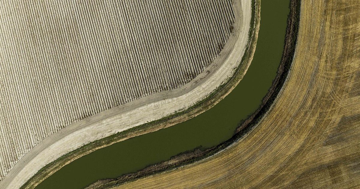As Skagit Valley waterways get warmer, the Swinomish push to save fish