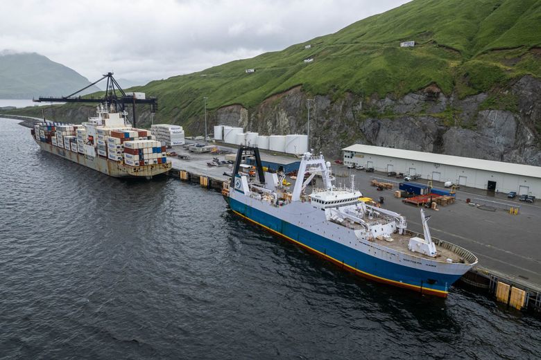 Bering Sea fish bounty brings help, headaches for trawlers