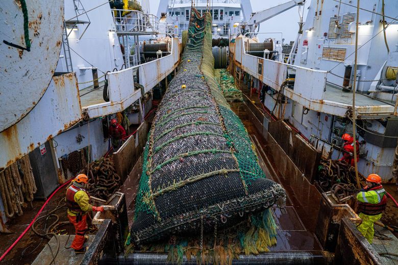 Trawl Net Fishing On The Big Boat - Catch Hundreds Tons Herring At