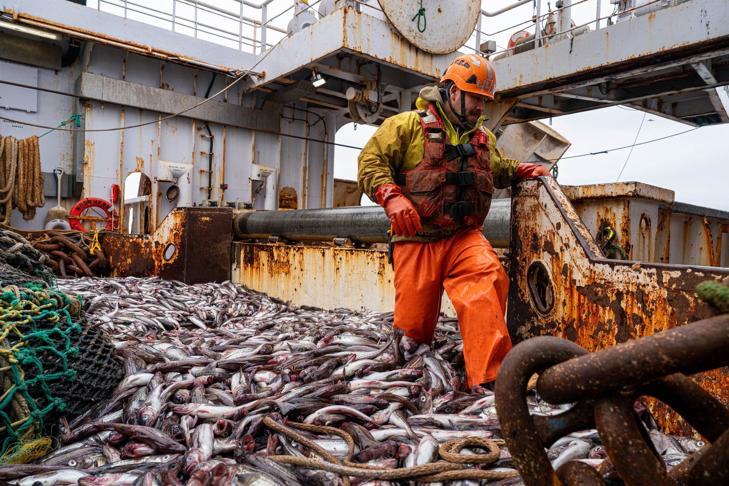 Bering Sea fish bounty brings help, headaches for trawlers | The