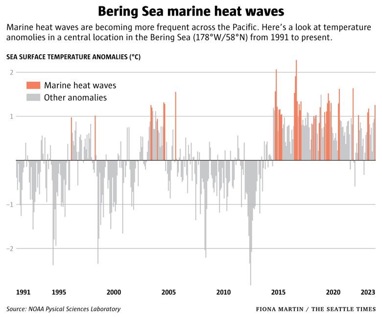 A Crab Boat's Quest for Snow Crab in a Bering Sea Upended by Climate Change