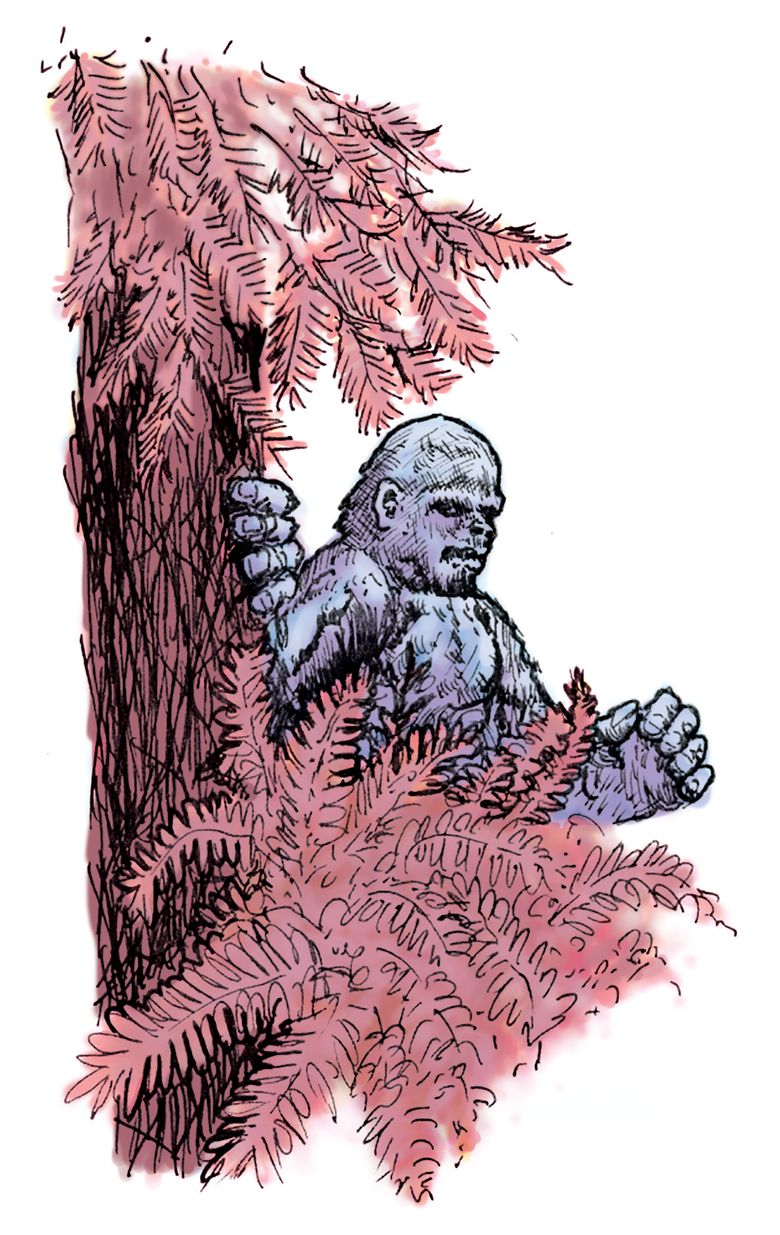 Bigfoot: The Pacific Northwest's Claim to Cryptid Fame