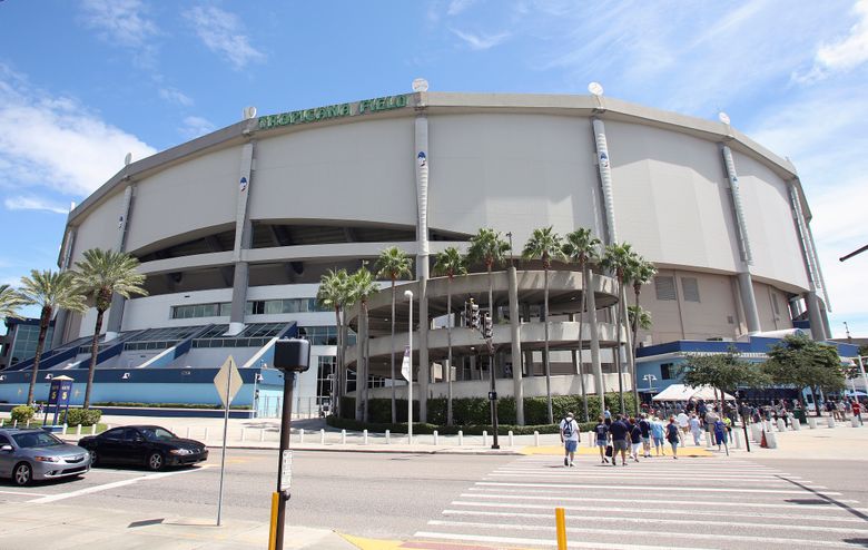 Tropicana Field Tampa Bay Rays Baseball Ballpark Stadium Jigsaw