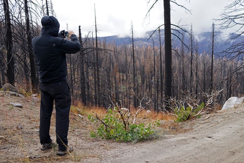 Blaze 'creeps' through wilderness in Sequoia & Kings Canyon National Parks