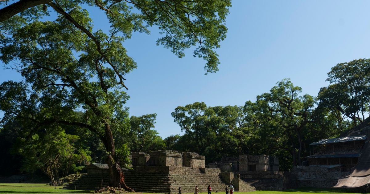 how-are-ancient-roman-and-mayan-buildings-still-standing-scientists