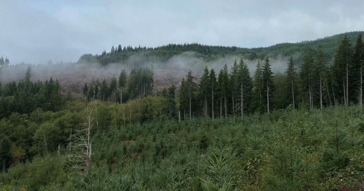 WA makes its biggest forestland purchase in more than a decade