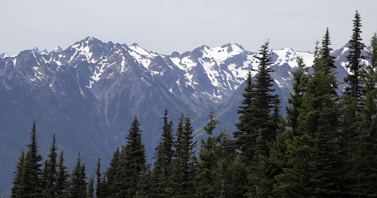 Hurricane Ridge to reopen after ‘year full of challenges’ | The Seattle ...