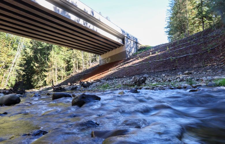 The recently finished culvert replacement on Indian Creek under US 101 in Elwha, Washington on October 5, 2023. 225537