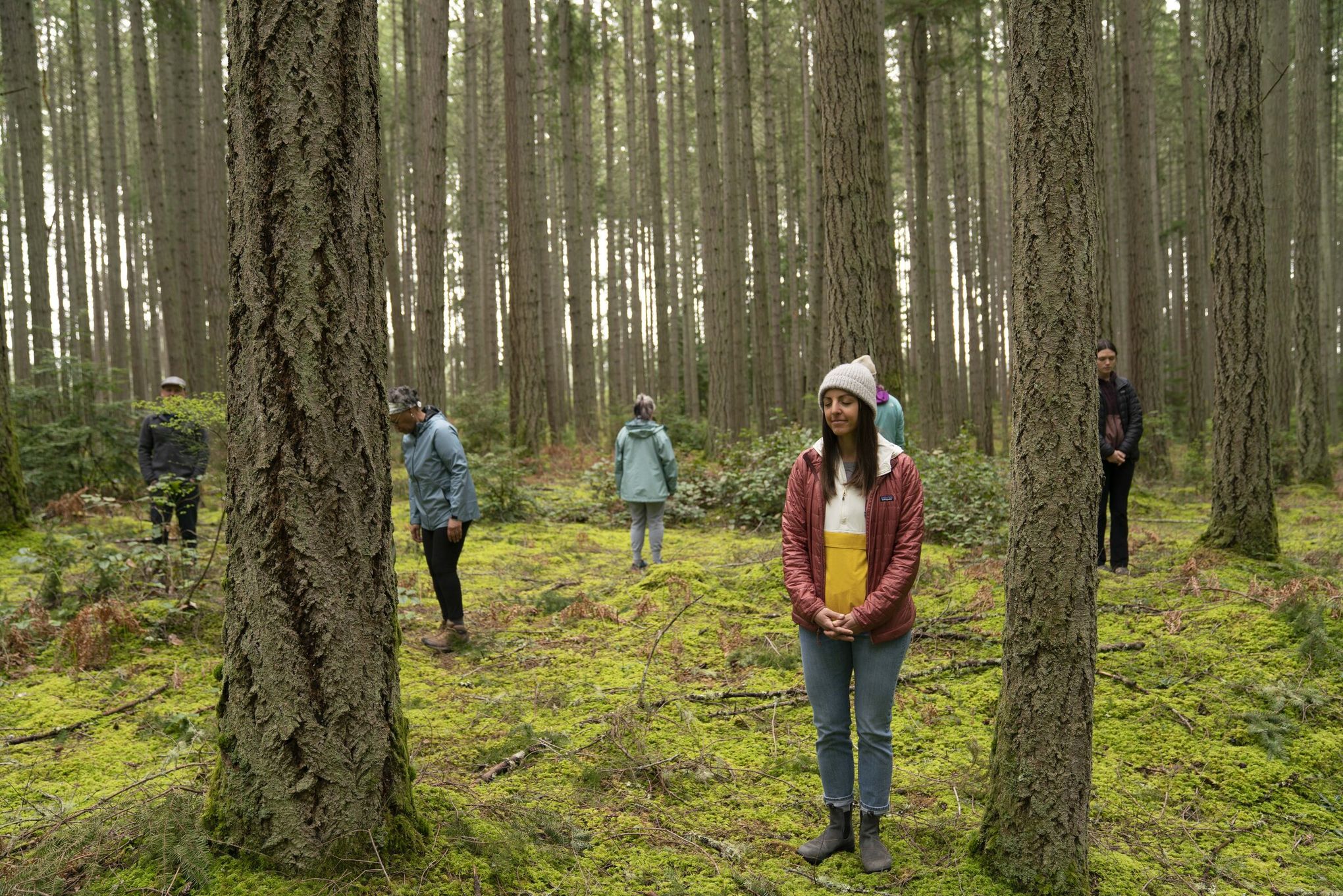 What is forest bathing? How to get started and where to go in Seattle | The Seattle Times