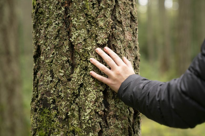 Outdoor Yoga & Forest Bathing: Connecting to Nature