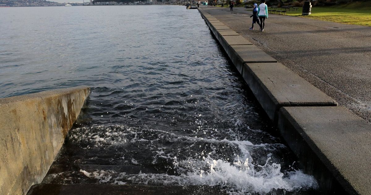 本周末随着华盛顿州的大潮到来，请留意突发的危险海浪
