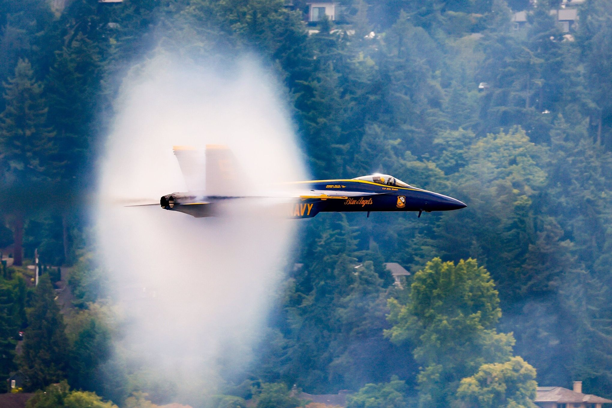 Pre-Order The New Blue Angels License Plate Today 