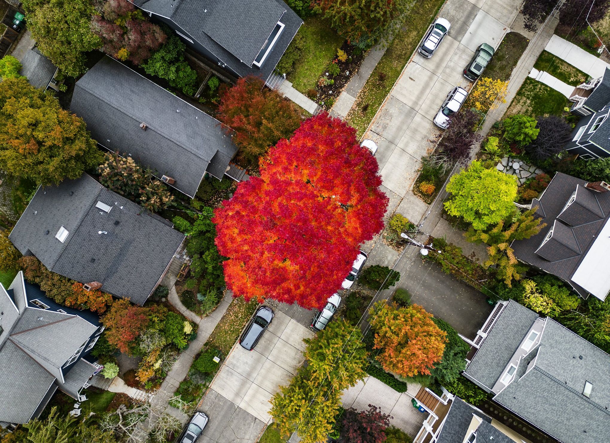 30 stunning fall photos from around Seattle | The Seattle Times