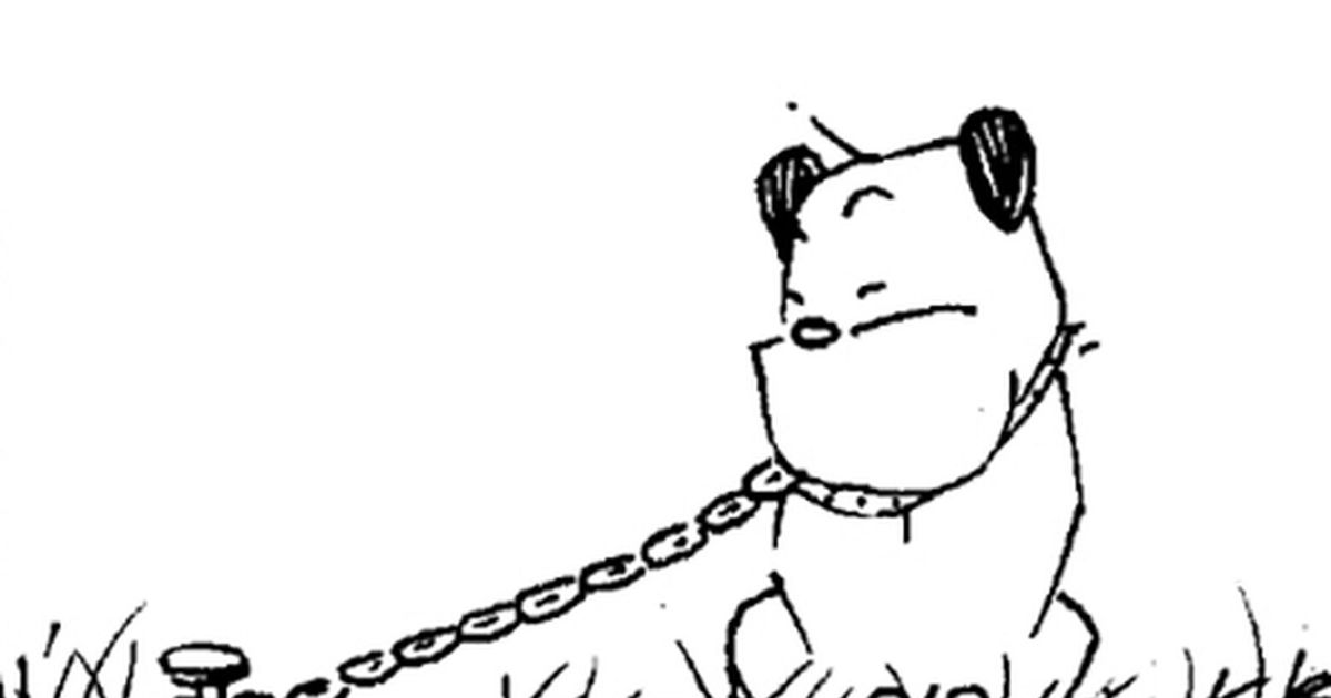 Breaking the chains Creator of comic strip ‘Mutts’ frees his Guard Dog