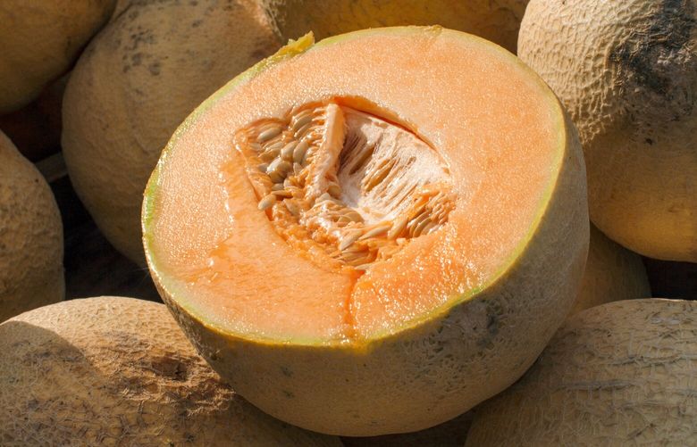 FILE – Cantaloupes are displayed for sale in Virginia on July 28, 2017. The Centers for Disease Control and Prevention on Thursday, Nov. 30, 2023, said it was advising people to stop eating precut cantaloupe if they don’t know where it came from due to a deadly outbreak of salmonella poisoning that continues to grow. (AP Photo/J. Scott Applewhite, File) NYAB401