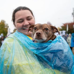 Portland Public Schools strike: The latest on what you need to know as of ...