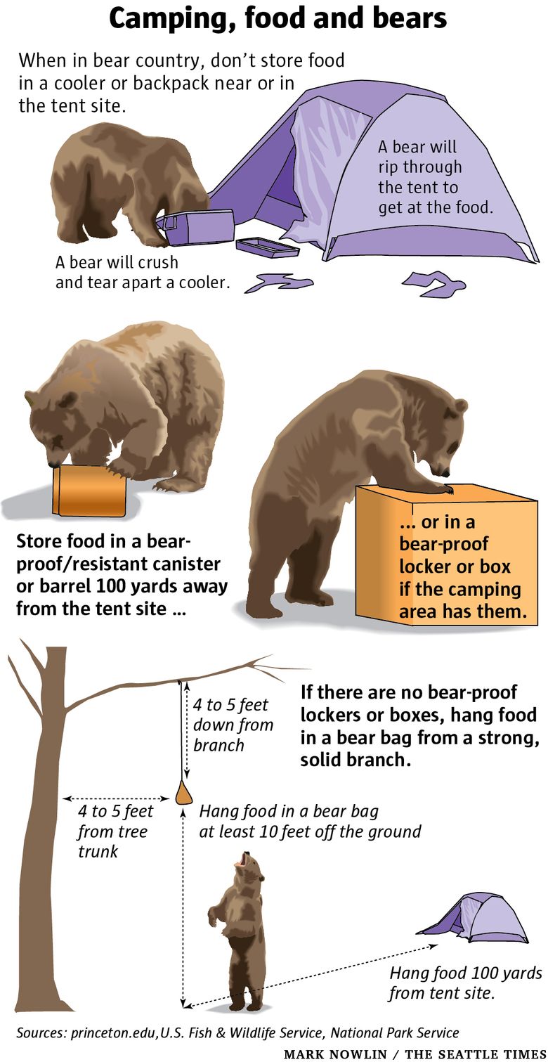 Conservation At Home - Bears (U.S. National Park Service)