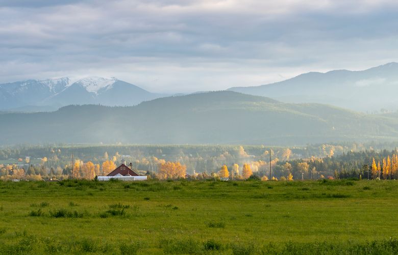 Landscape of a red barn sitting in the distance among golden fall trees and mist against the Olympic mountain range in the background. A grassy field stretches in the foreground with clouds in the sky.