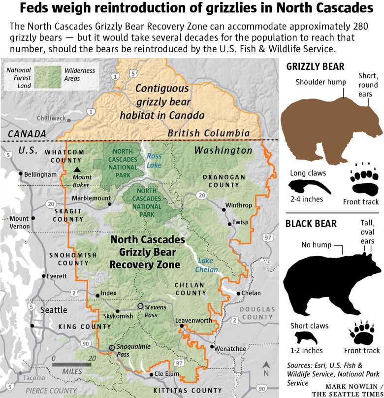 Bear Attacks (U.S. National Park Service)